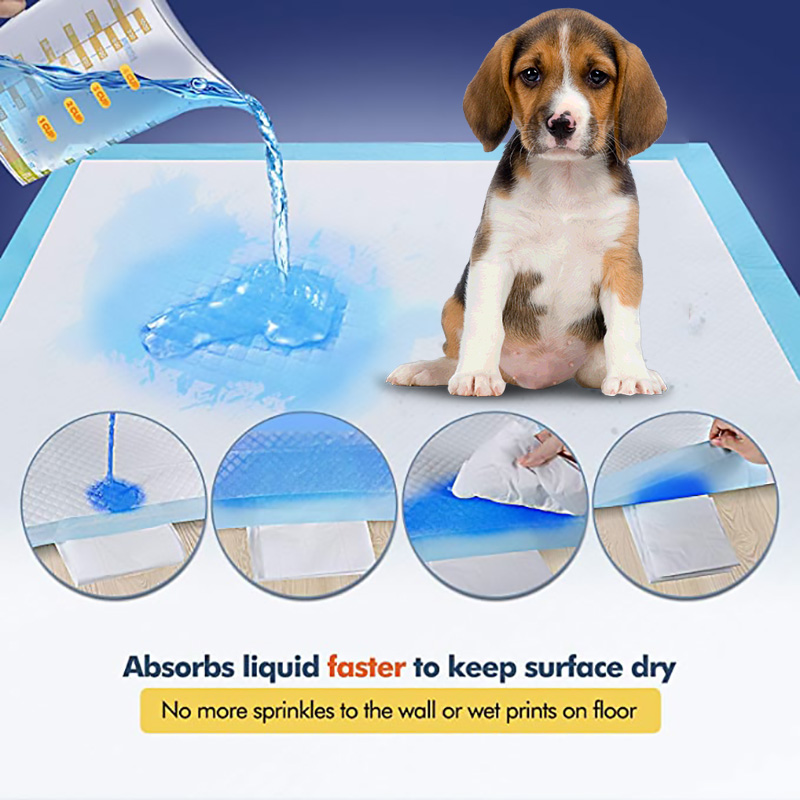 Productos sanitarios para mascotas